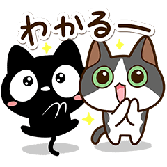 Giới thiệu về từ ngữ địa phương của vùng Kyushu (九州の方言)